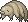 Tardigrade